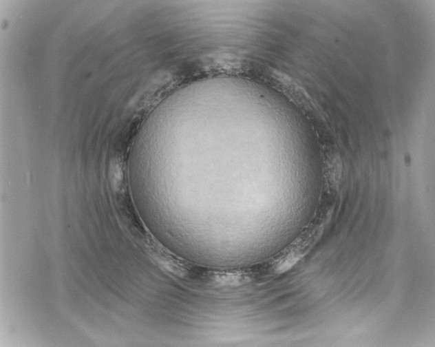 X0000075830709200609291422