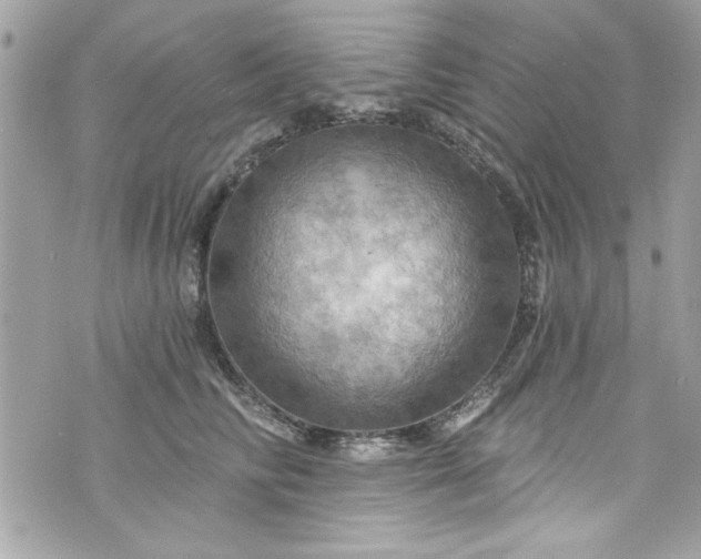 X0000075830710200609291422