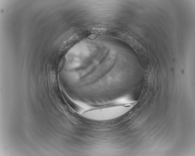 X0000075830711200609291422