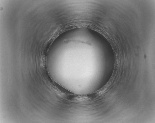 X0000075830712200609291422