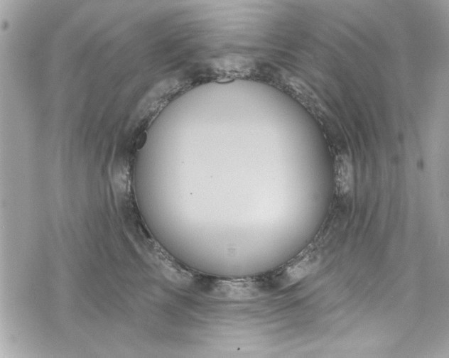 X0000075830713200609291422