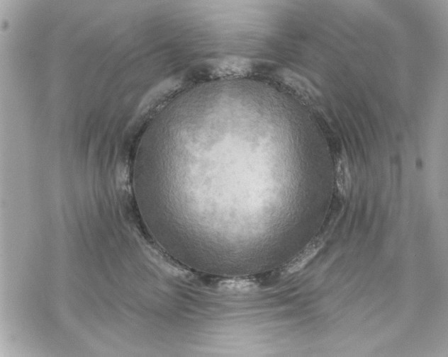 X0000075830714200609291422