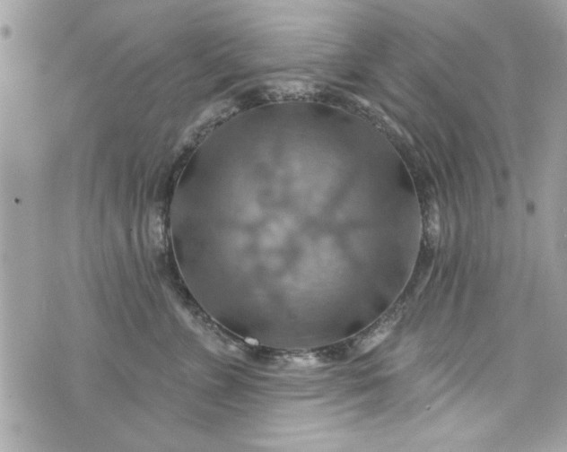 X0000075830715200609291422