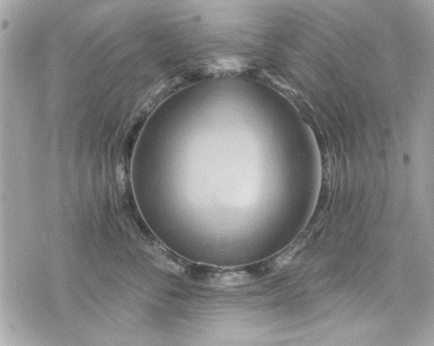 X0000075830716200609291422