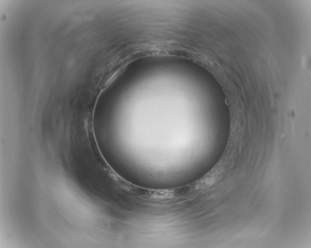 X0000075830720200609291422