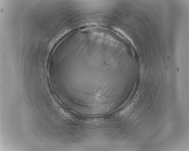 X0000075830721200609291421