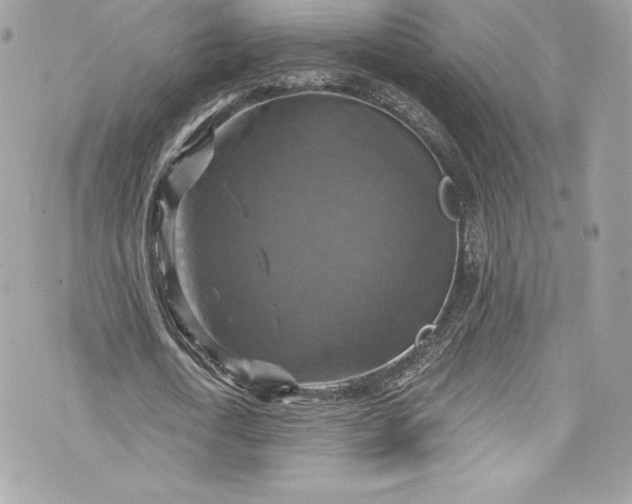 X0000075830722200609291421