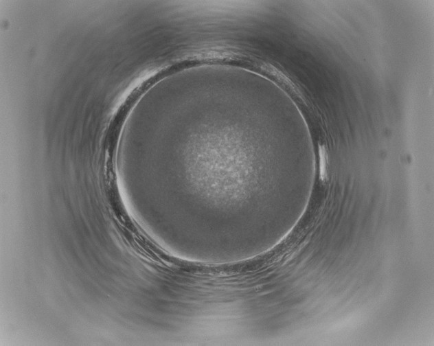 X0000075830723200609291421