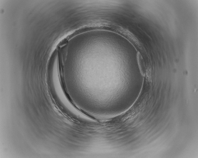 X0000075830724200609291421