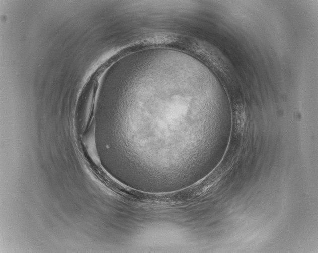 X0000075830726200609291421