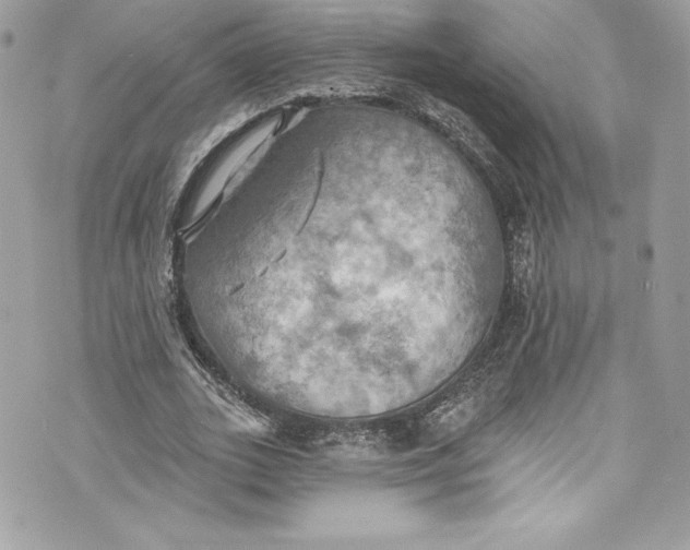 X0000075830727200609291421