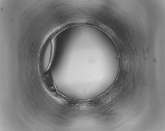 X0000075830728200609291421