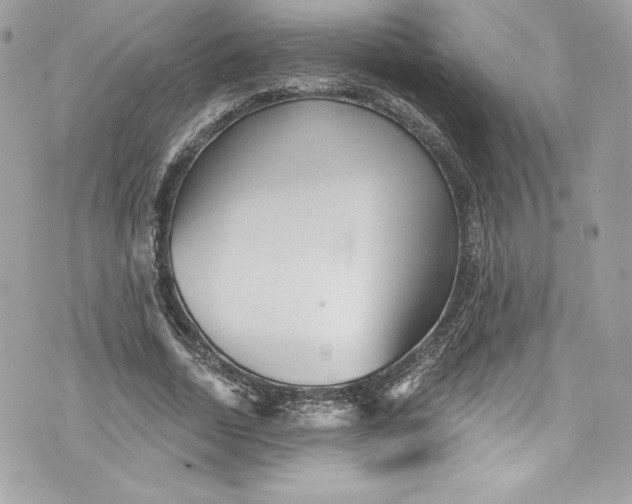 X0000075830730200609291421