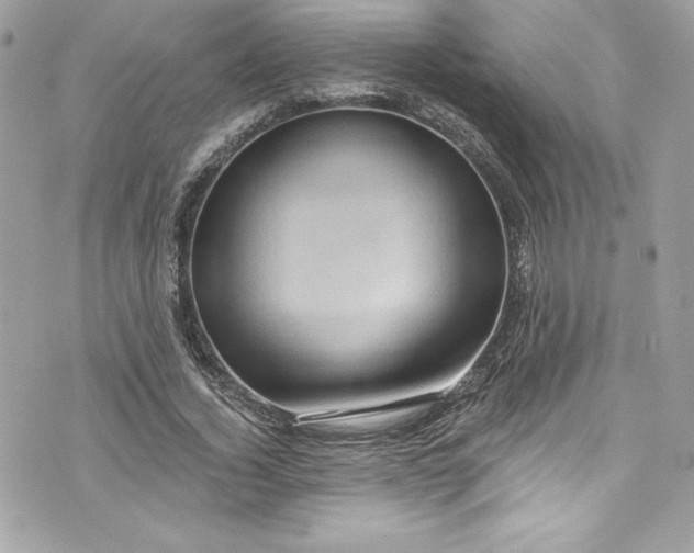 X0000075830732200609291421