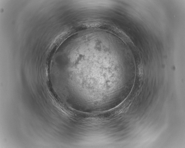 X0000075830733200609291421