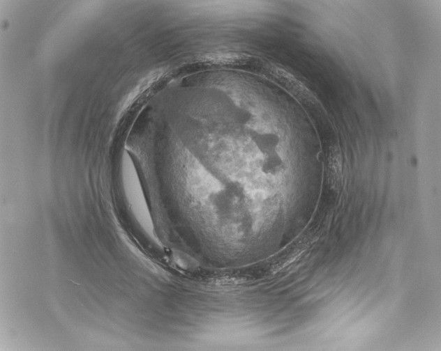 X0000075830734200609291421