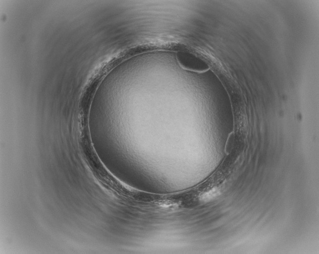 X0000075830736200609291421