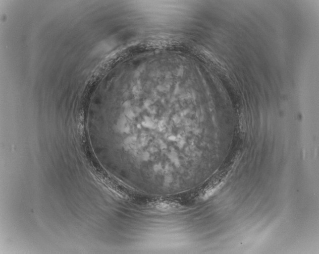 X0000075830737200609291421