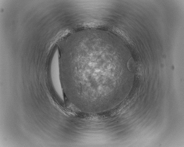 X0000075830738200609291421