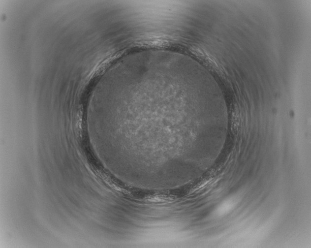 X0000075830739200609291421