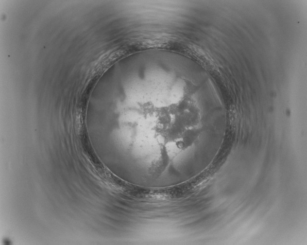 X0000075830741200609291421