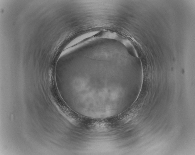 X0000075830742200609291421