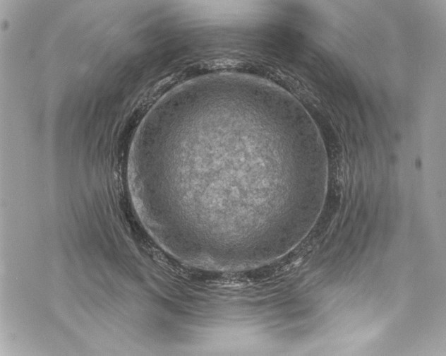 X0000075830743200609291421