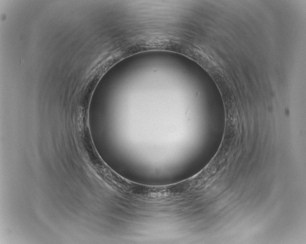 X0000075830744200609291421