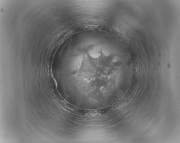 X0000075830745200609291421