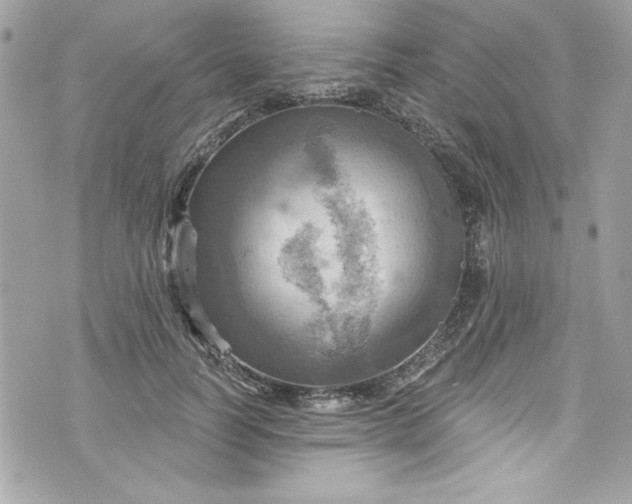 X0000075830746200609291421