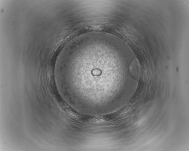 X0000075830747200609291421