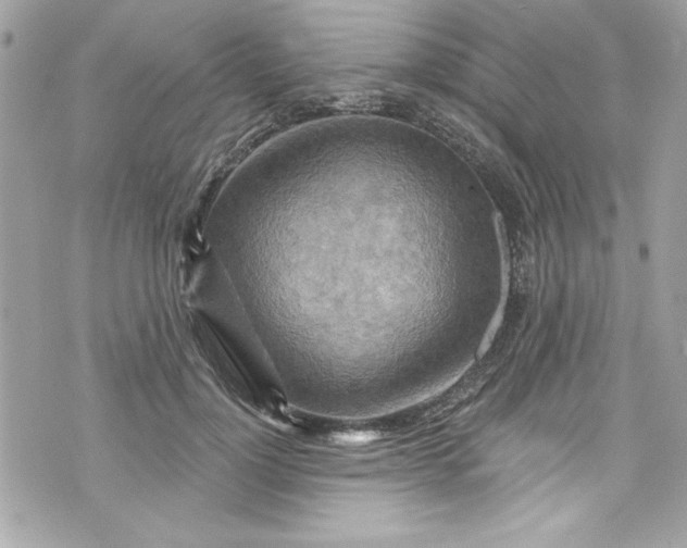 X0000075830748200609291421