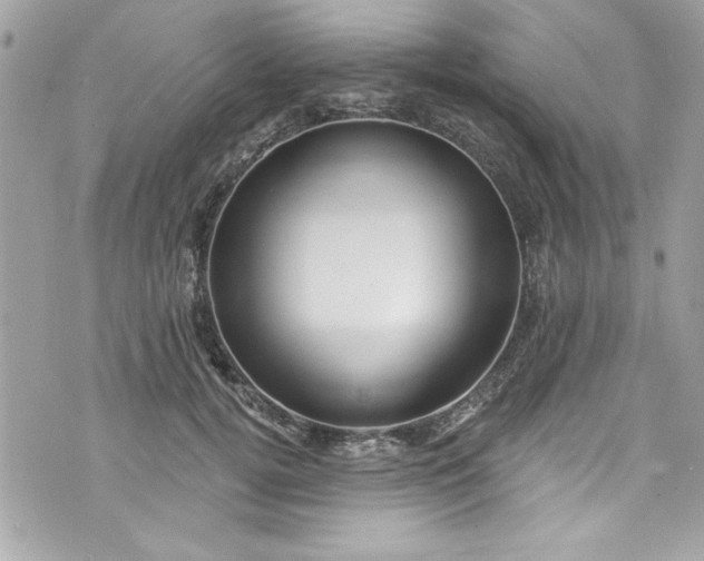 X0000075830752200609291421