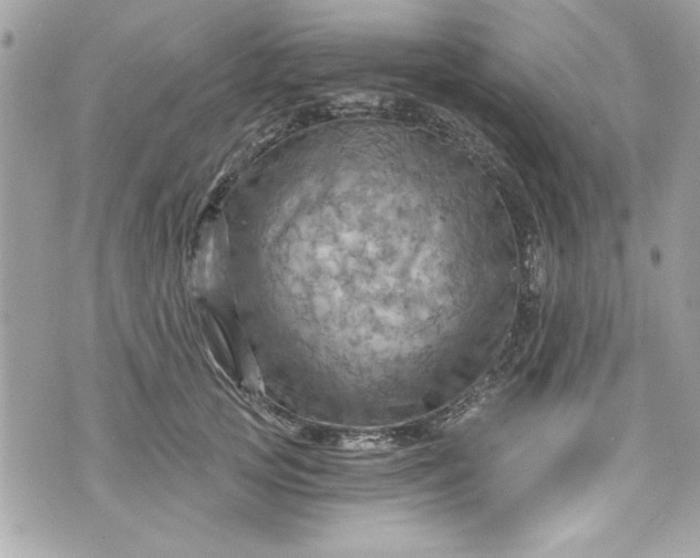 X0000075830753200609291421