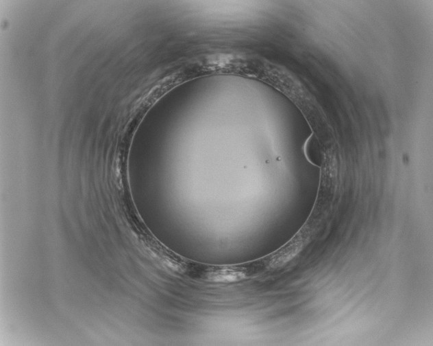 X0000075830754200609291422