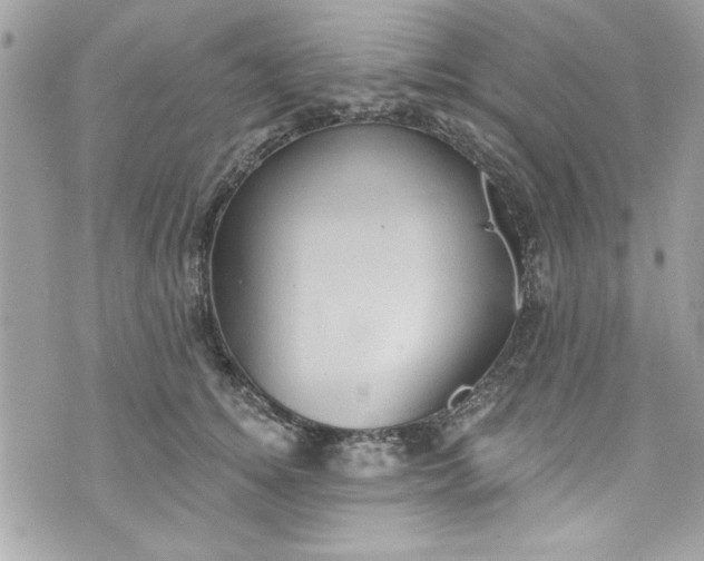 X0000075830756200609291422