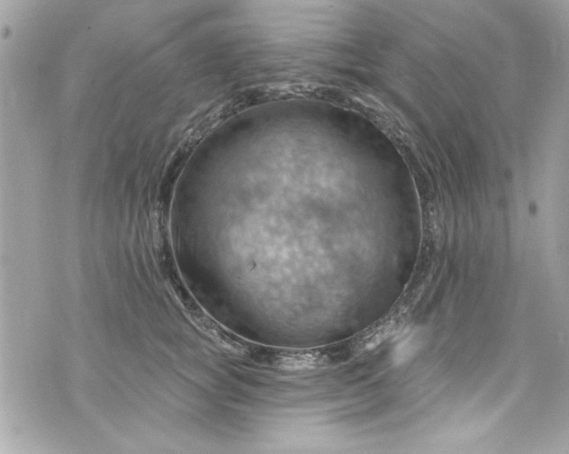 X0000075830757200609291422