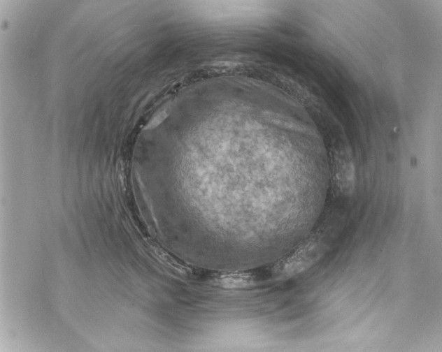 X0000075830758200609291422