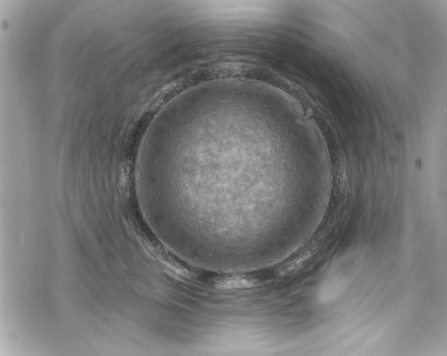 X0000075830759200609291422