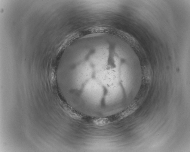 X0000075830761200609291422