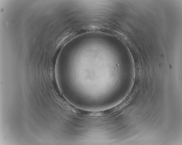 X0000075830762200609291422