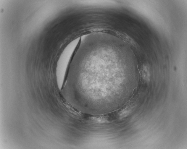 X0000075830763200609291422