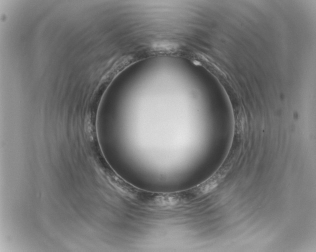 X0000075830764200609291422