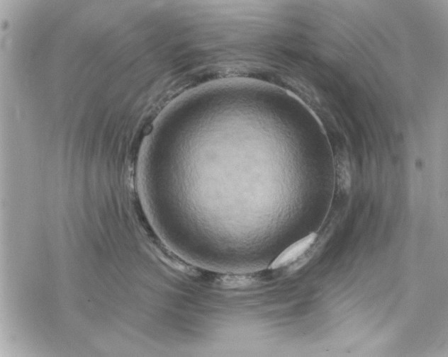 X0000075830766200609291422