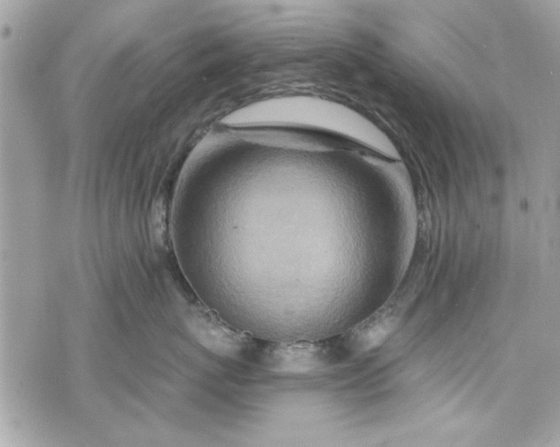 X0000075830767200609291422