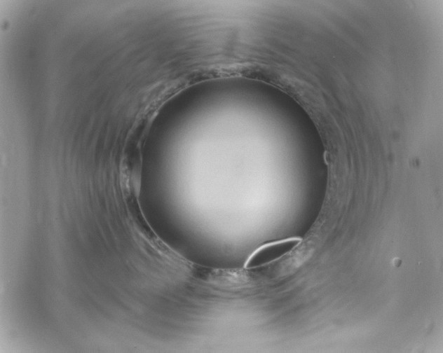 X0000075830768200609291422