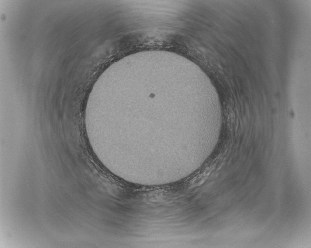 X0000075830769200609291421