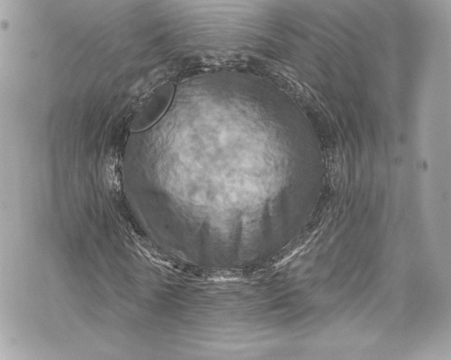 X0000075830770200609291421