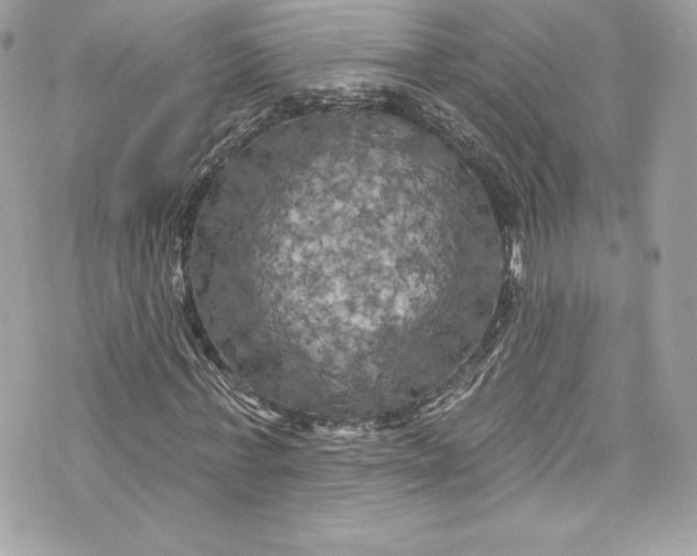 X0000075830771200609291421