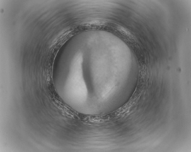 X0000075830774200609291421